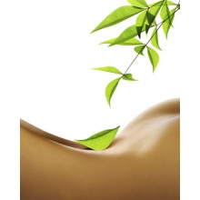 massage erotique issoire fellations rapide massage erotique issoire fellations rapide