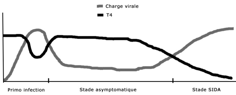 taux charge virale et lymphocytes T4