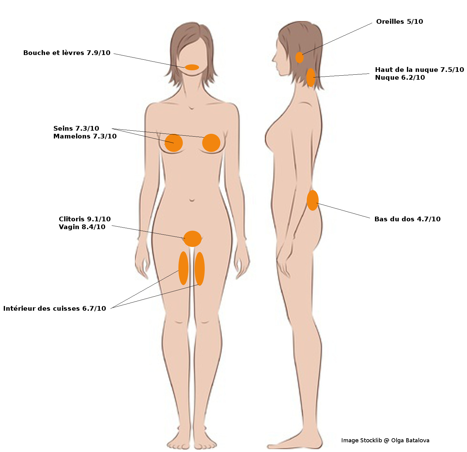 localisation des zones érogènes sur le corps de la femme